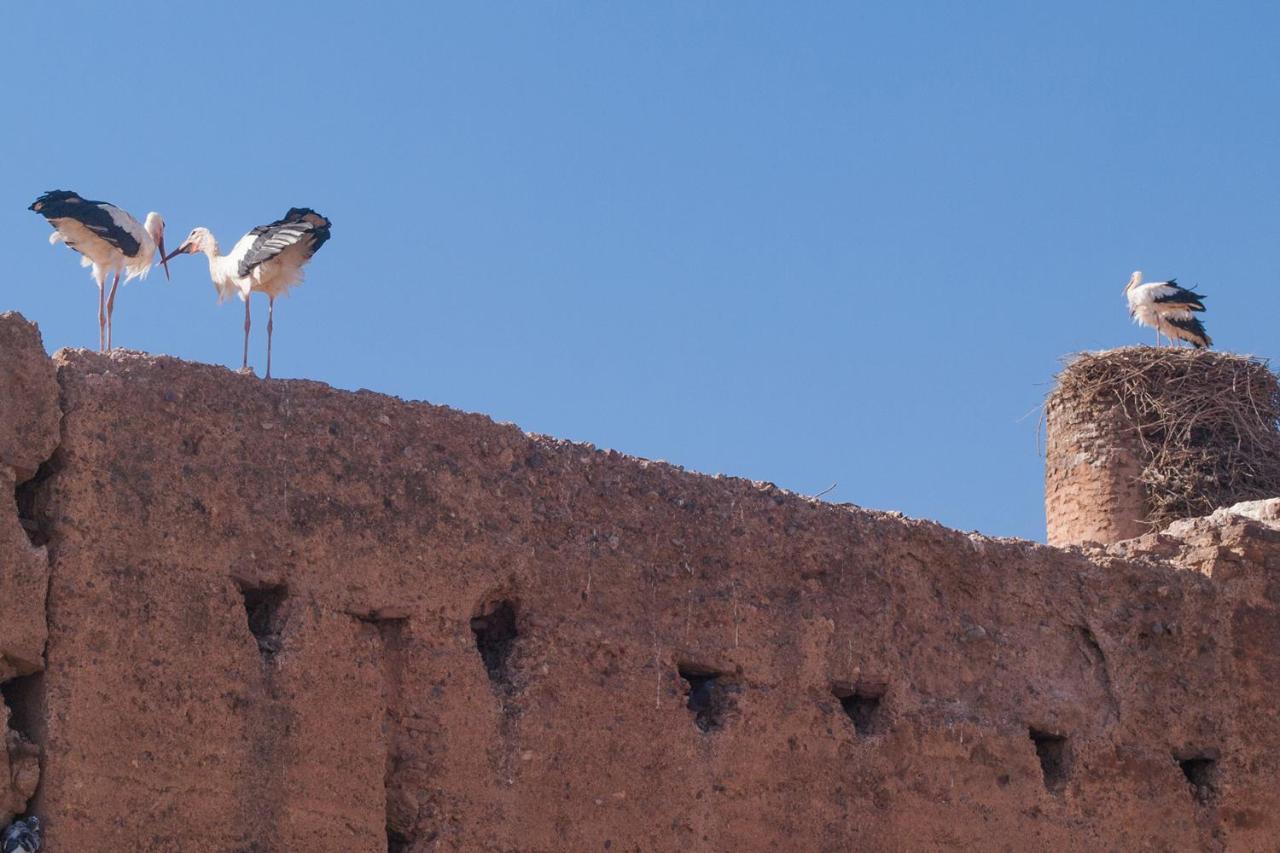 Riad Of The Storks - Exclusive Use For Up To 17 Persons Марракеш Экстерьер фото